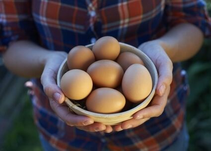 prednosti piščančjih jajc